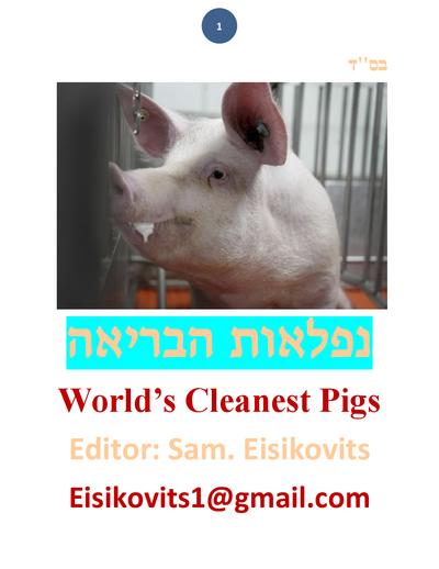 ליקוטי שמואל — Parshas Matos-Massei