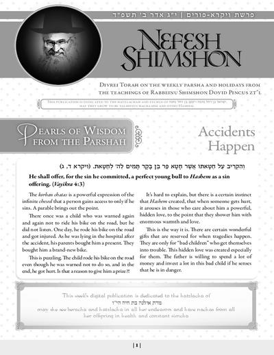 Nefesh Shimshon — Parshas Vayikra
