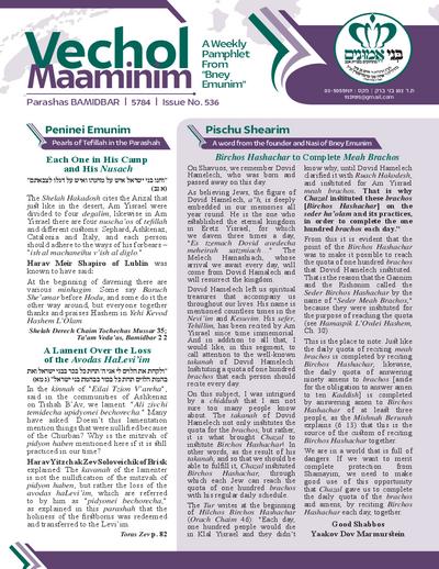 Vechol Maaminim — Parshas Bamidbar
