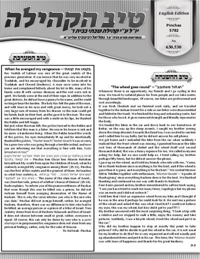טיב הקהילה English — Parshas Pinchas
