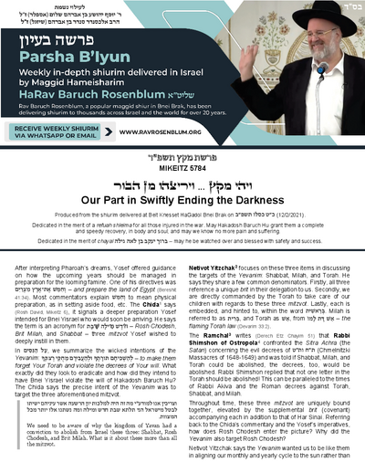 Torah Papers — Parshas Mikeitz