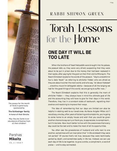 Torah Lessons for the Home — Parshas Mikeitz