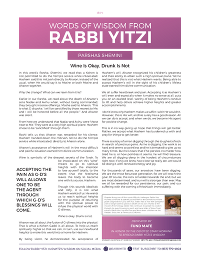 Words of Wisdom from Rabbi Yitzi — Parshas Shemini