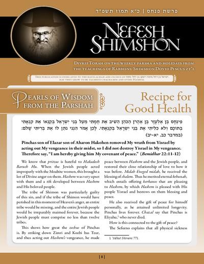 Nefesh Shimshon — Parshas Pinchas