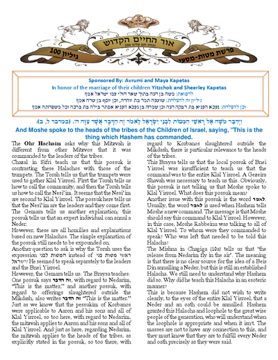 Ohr Hachaim Hakadosh — Parshas Matos-Massei