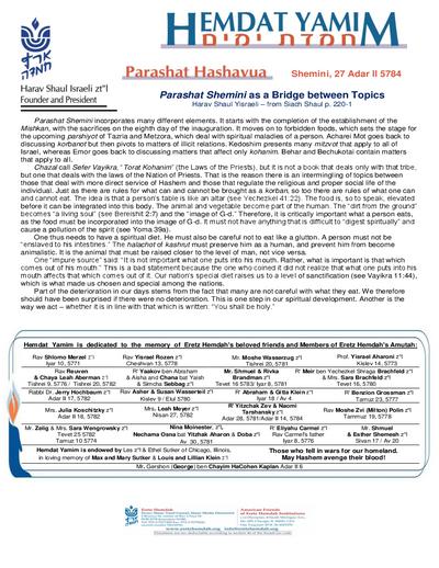 PDF Preview