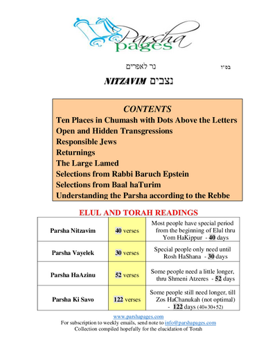 Parsha Pages — Parshas Nitzavim