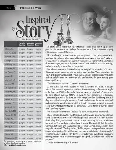 Inspired by a Story — Parshas Bo