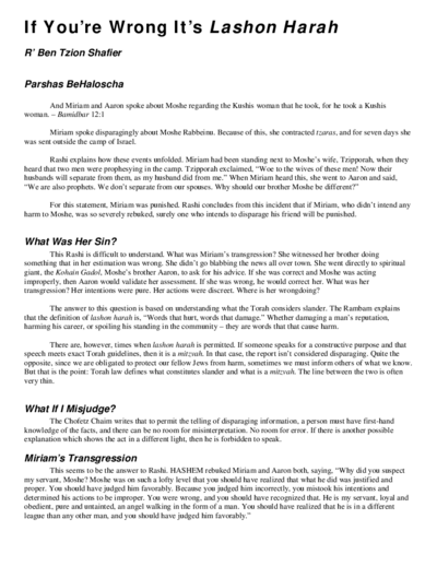 The Shmuz — Parshas Behaalotcha