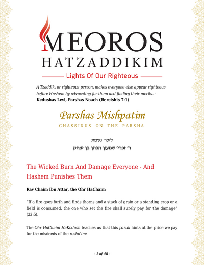 PDF Preview