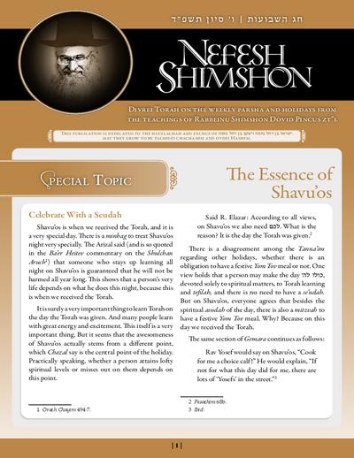 Nefesh Shimshon — Parshas Naso