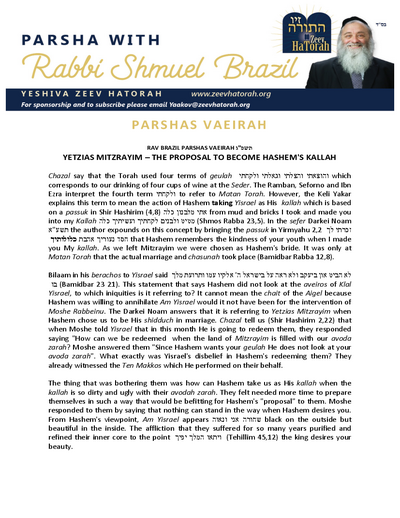 Parsha with Rabbi Shmuel Brazil — Parshas Va'eira