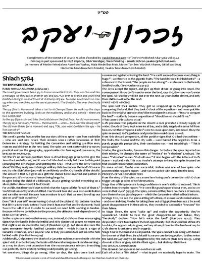 PDF Preview