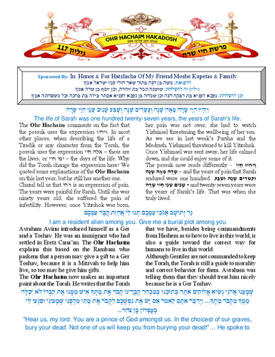 PDF Preview