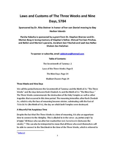 PDF Preview