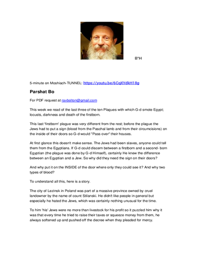 PDF Preview