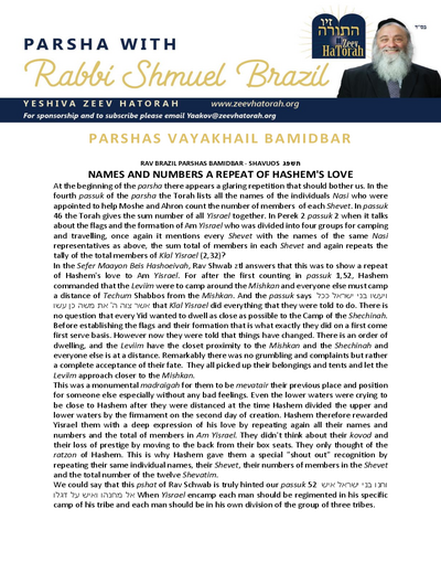 Parsha with Rabbi Shmuel Brazil — Parshas Bamidbar