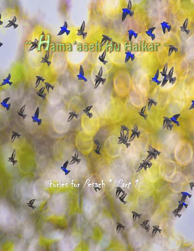 PDF Preview