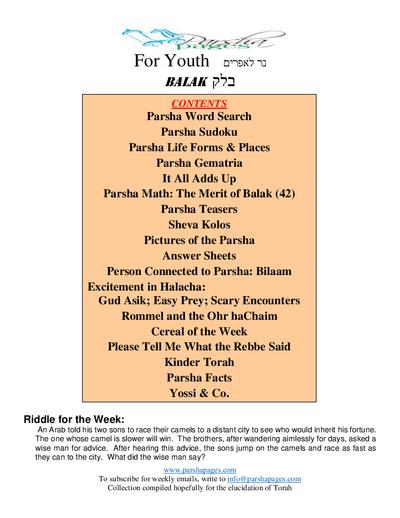 PDF Preview