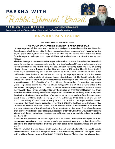 Parsha with Rabbi Shmuel Brazil — Parshas Mishpatim