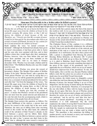 Pardes Yehuda — Parshas Pinchas