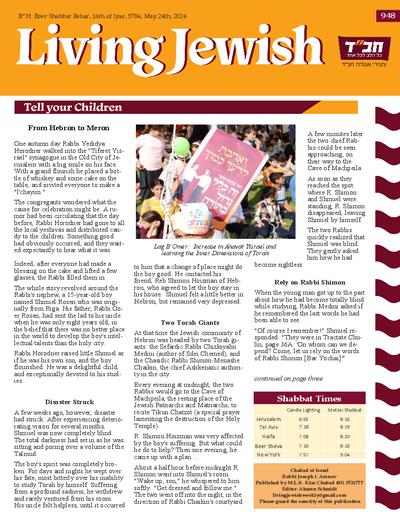 PDF Preview