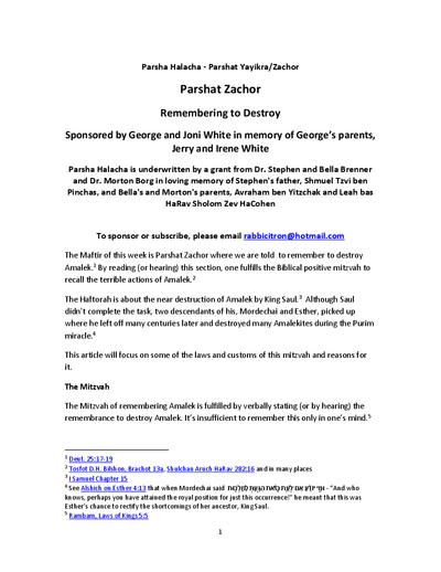 PDF Preview