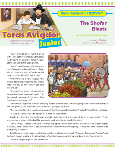 PDF Preview