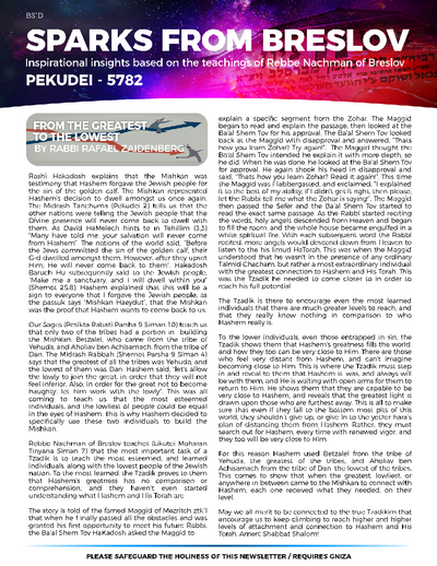 Sparks from Breslov — Parshas Pekudei