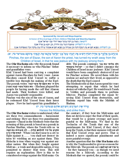 Ohr Hachaim Hakadosh — Parshas Pinchas