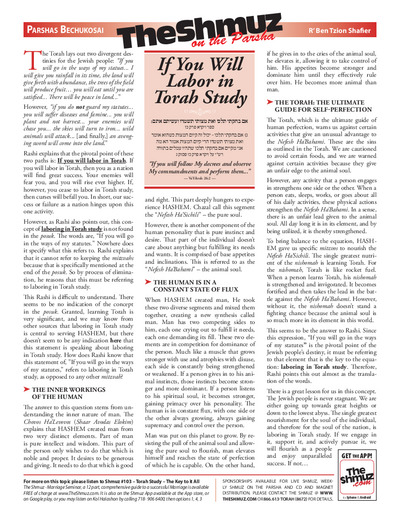 The Shmuz — Parshas Behar-Bechukosai