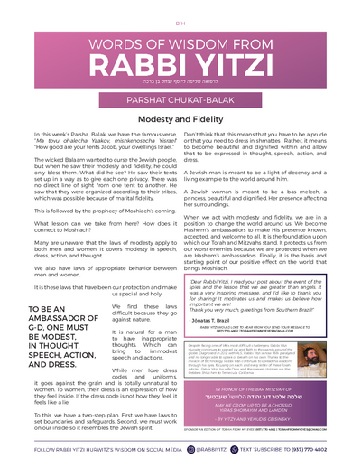 Words of Wisdom from Rabbi Yitzi — Parshas Chukas-Balak