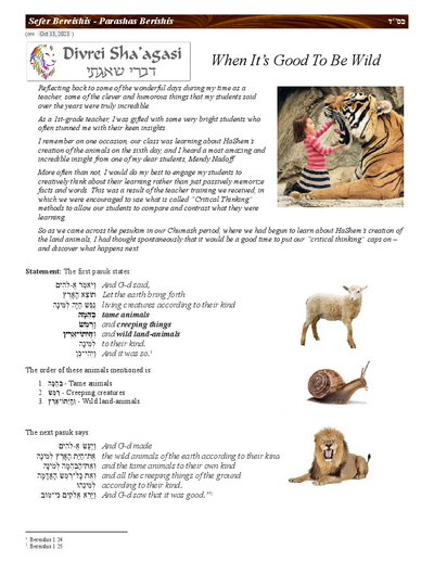 Divrei Shaagasi — Parshas Bereishis