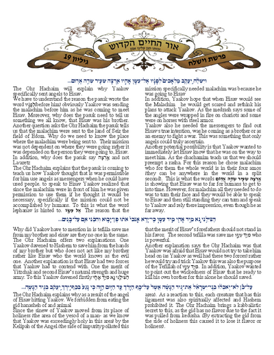 Ohr Hachaim Hakadosh — Parshas Vayishlach