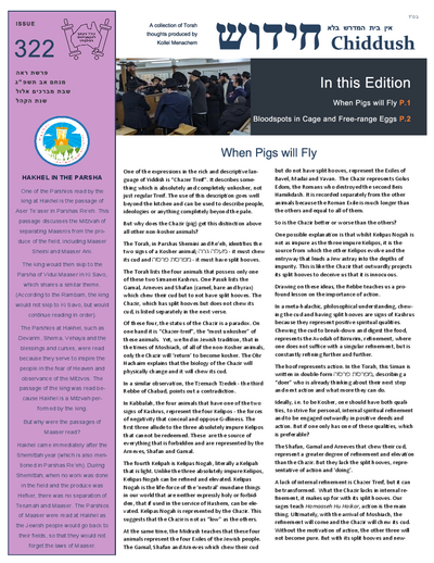 PDF Preview