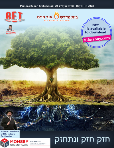 BET Journal — Parshas Behar-Bechukosai