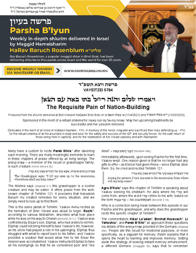 PDF Preview