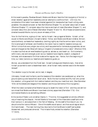 PDF Preview