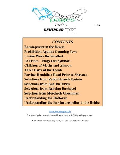 PDF Preview