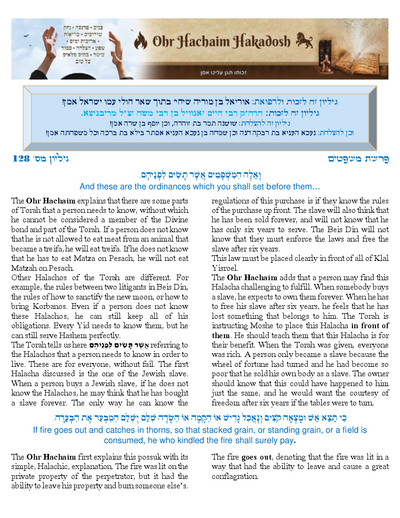 Ohr Hachaim Hakadosh — Parshas Mishpatim