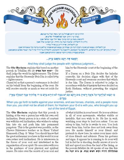 Ohr Hachaim Hakadosh — Parshas Shoftim