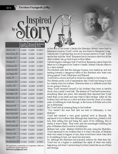 PDF Preview