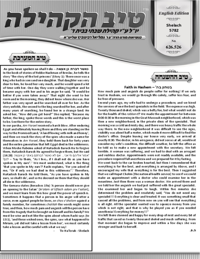 טיב הקהילה English — Parshas Shlach