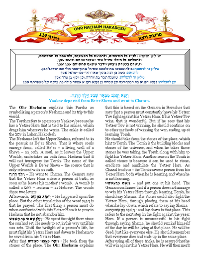 PDF Preview