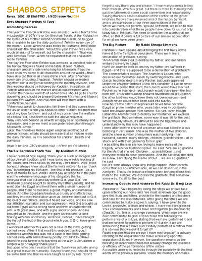 PDF Preview