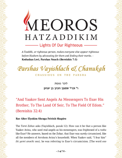 PDF Preview