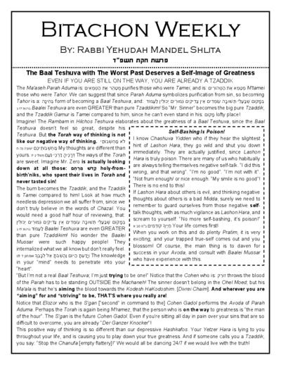 Bitachon Weekly — Parshas Chukas