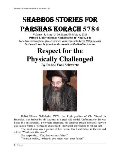 PDF Preview