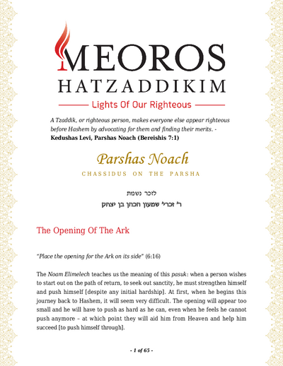 Me'oros Hatzaddikim — Parshas Noach