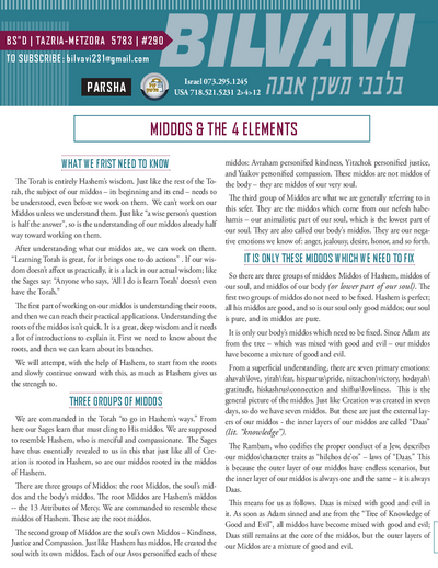 Bilvavi — Parshas Tazria-Metzora